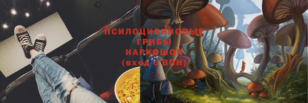 героин Алексин