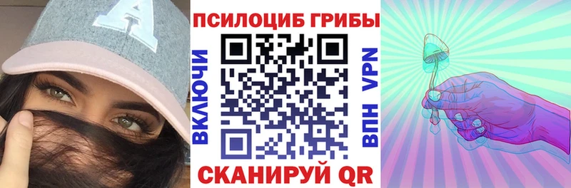 где продают   блэк спрут   Галлюциногенные грибы GOLDEN TEACHER  Ардатов 