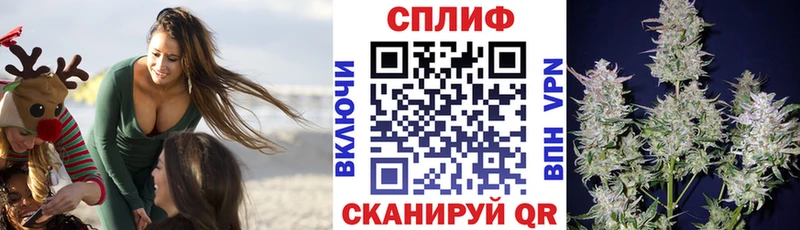 МАРИХУАНА семена Ардатов